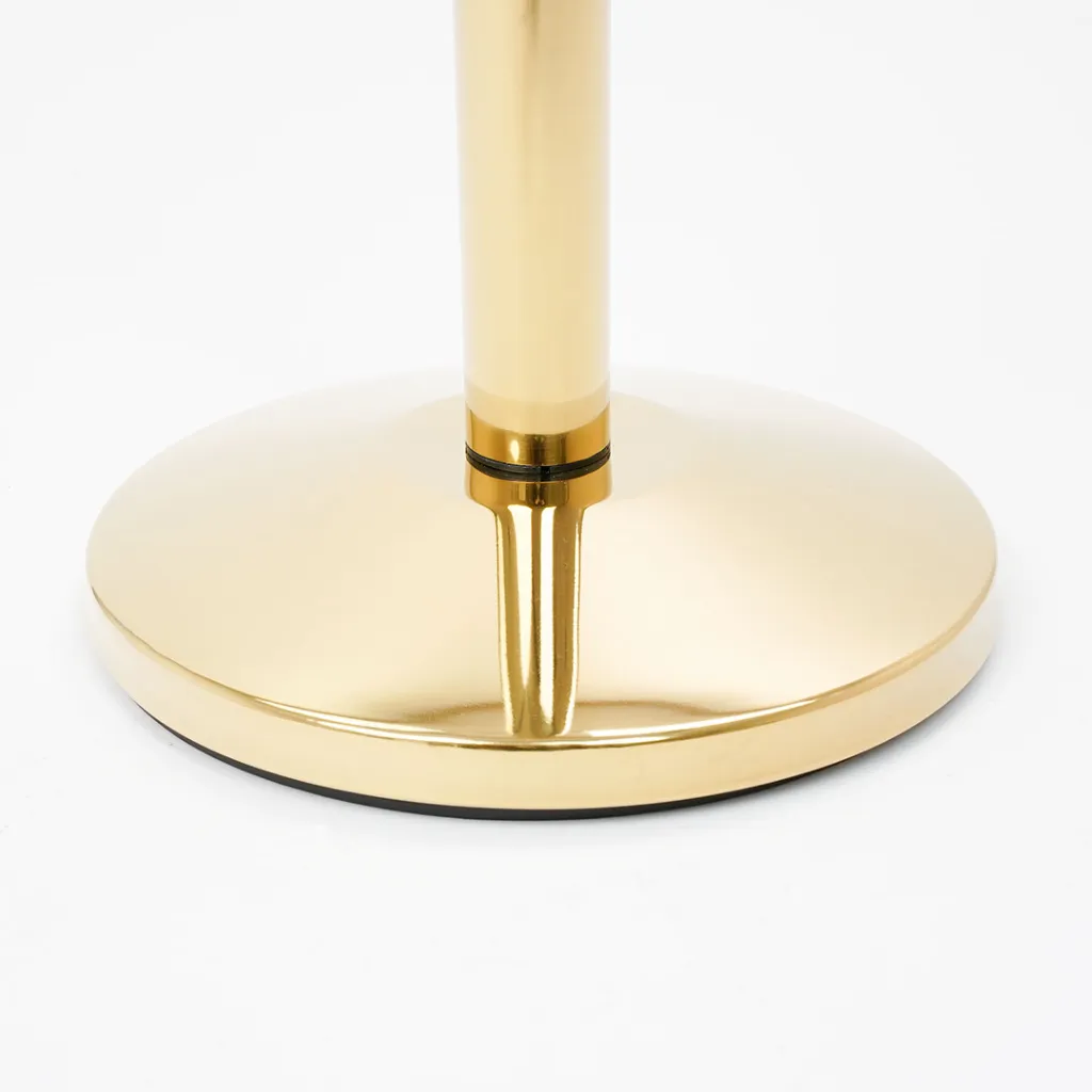 Poteaux de guidage noir mat avec cordon bleu en mise en situation professionnelle TELNALINE